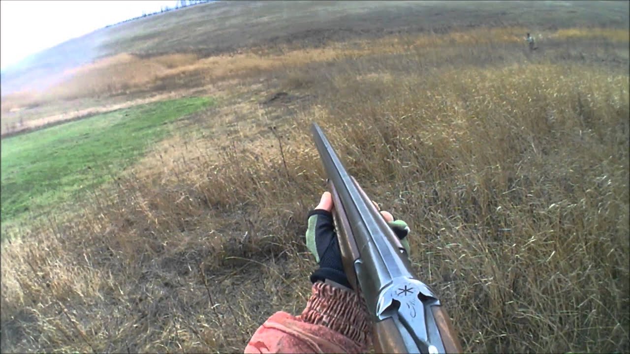 Охота на зайца с подхода