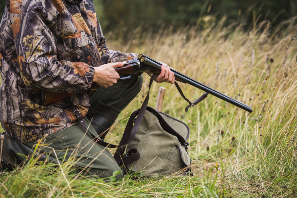 Тропление зайца