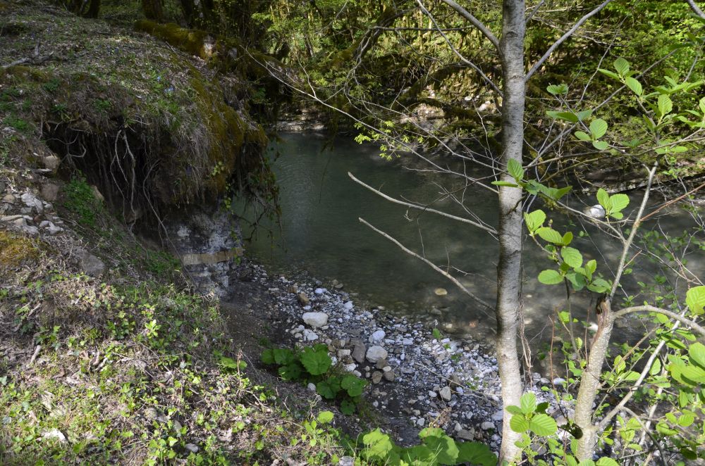 В таких местах забросить реально только поплавочной снастью