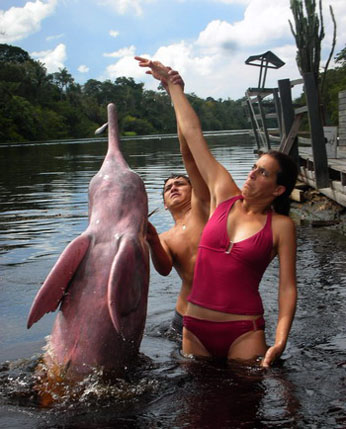 речной дельфин