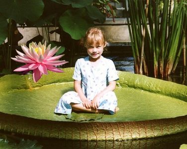 Гигантская амазонская лилия или Виктория Регия