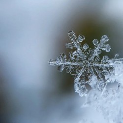 Диктанты на тему "Зима" для 6 класса