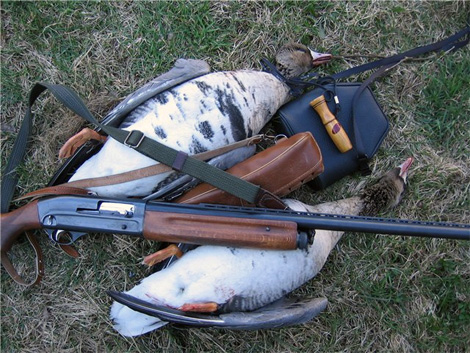 охота на гуся