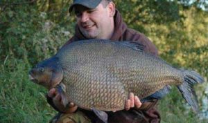 фидерная оснастка на леща