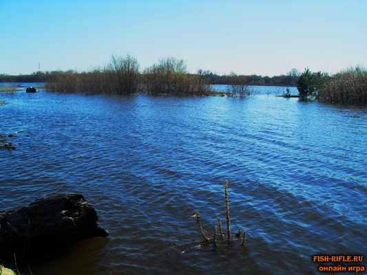 Рыбалка на Волге