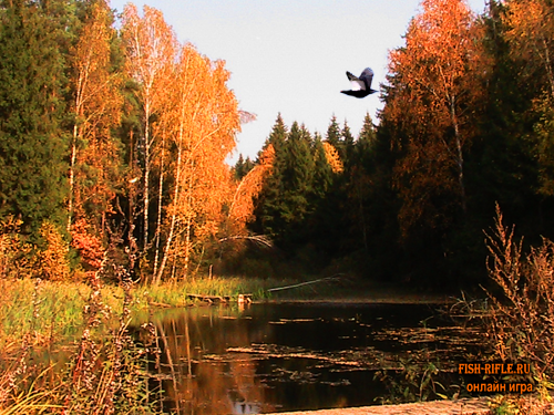охота на глухаря, тетерева, току