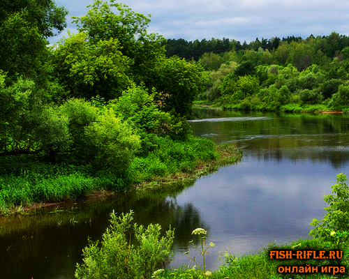 Рыбалка на реке Сить