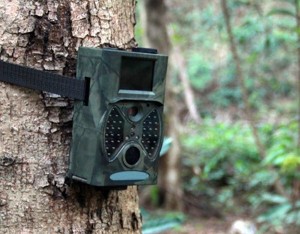 Фотоловушка