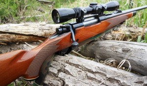 Ружье Schmidt&bender