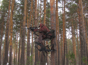 Лабаз на дереве