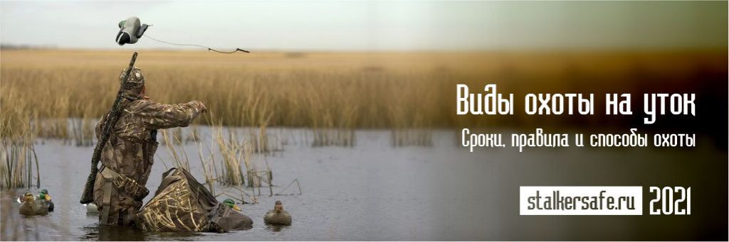 Виды охоты на уток