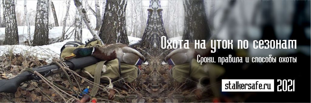 Охота на уток по сезонам