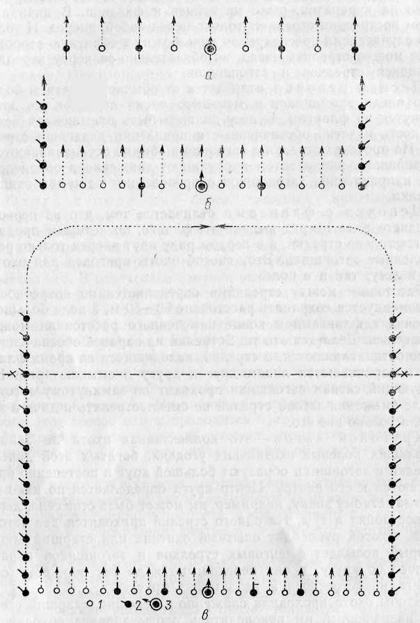 Охота на зайца нагоном