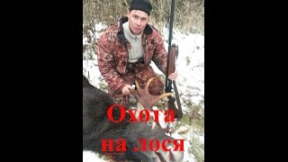 охота на лося видео 2016 г(Охота|2016|видео|лось|трофей., 2016-11-20T17:17:23.000Z)