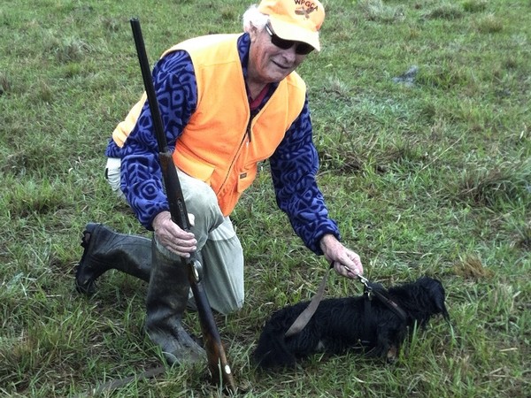 Фотогаллерея охота с таксой фото - 11