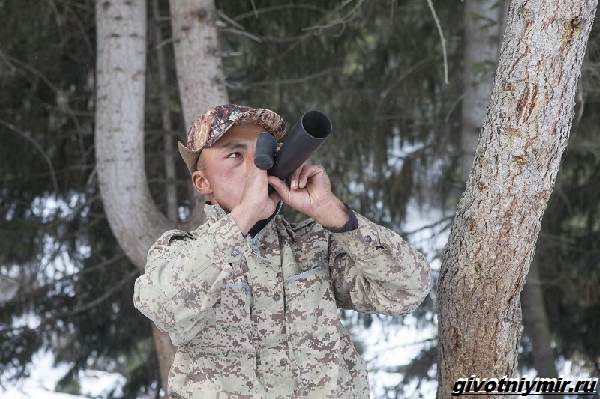 Охота-на-косулю-и-её-особенности-7