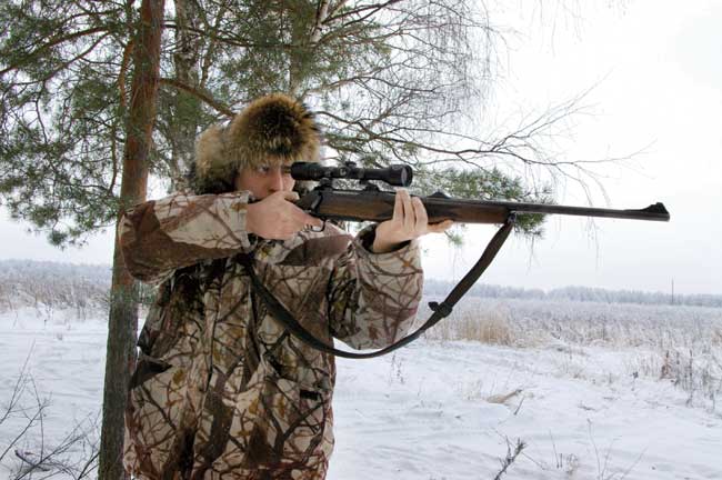 Оружие для охоты на косулю