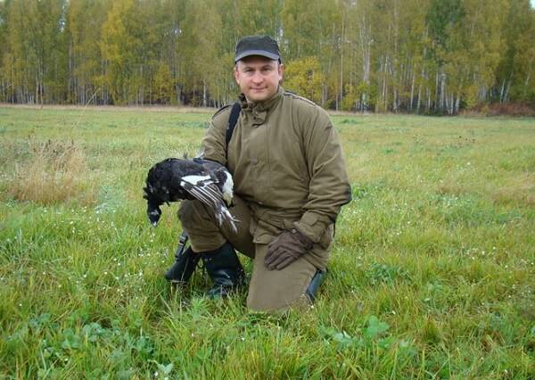 Охота на тетерева осенью