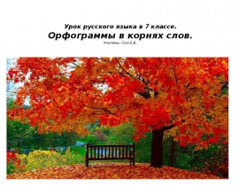 Орфограммы гласные в корнях слов
