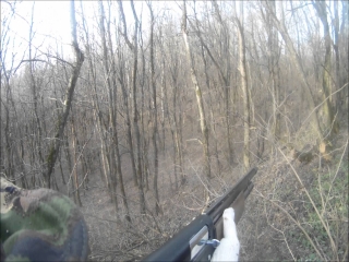 Охота на косулю по чернотропу видео