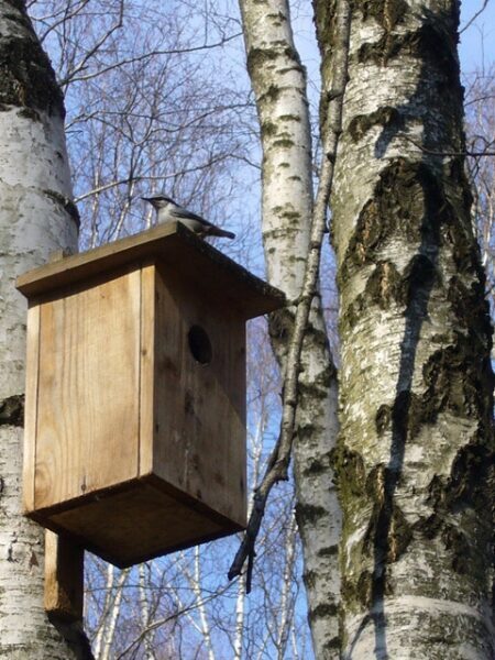 Диктанты по русскому языку на тему весна