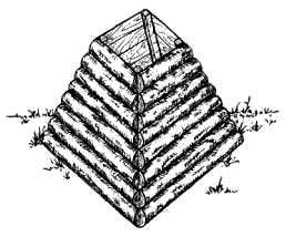 Как охотятся волки