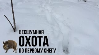 Охота в Украине. Бесшумная охота браконьеров на кабана на петлю по первому снегу(Обезвреживание браконьерских ловушек на кабана зимой по следам на снегу., 2016-01-13T21:51:08.000Z)