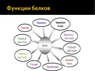 Функции белков