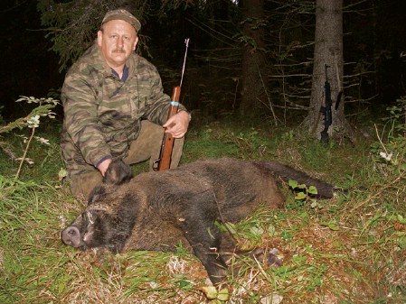 охота на кабана