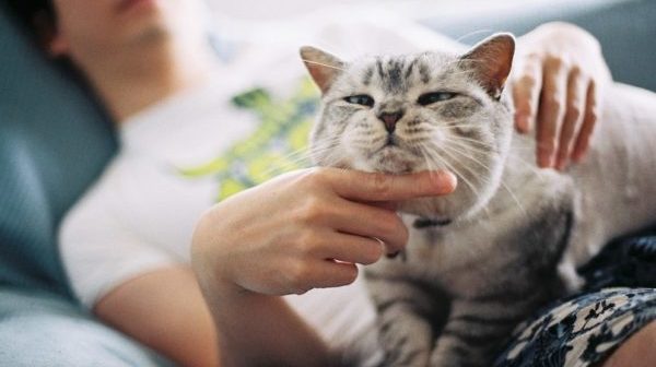 Похвала — обязательный элемент обучающего процесса