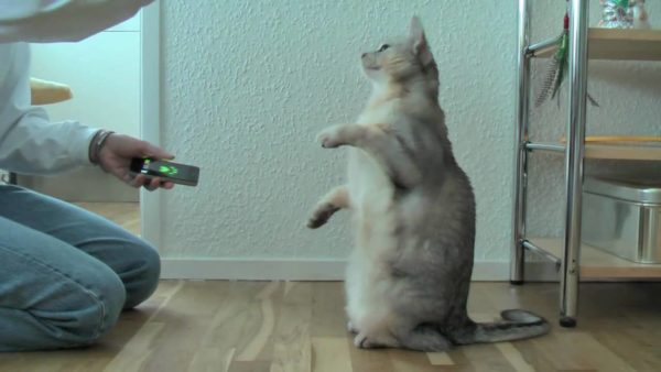 Повторение — мать учения