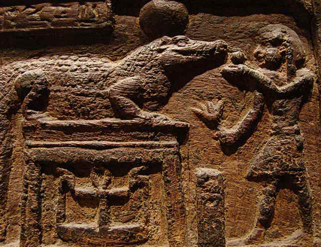 Комнатный крокодил: О животных, которые так и не стали домашними - одомашнивание