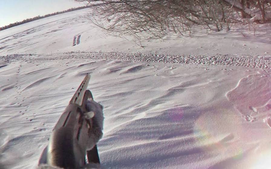 Охота на зайца троплением