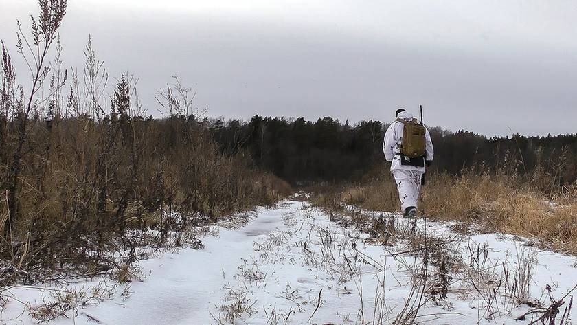Охота на зайца троплением