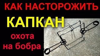 Как поставить капкан - Охота на бобра - Рамочный капкан(Как поставить капкан Охота на бобра рамочным капканом. Насторожить рамочный проходной капкан марок КП-120. 2014-06-14T15:39:16.000Z)