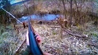 Охота #30 охота на бобра 20 кг(Охота на бобра на речке из засидки. В данном видео показаны действия происходящие на охоте, этот видео фильм. 2015-04-23T09:07:35.000Z)