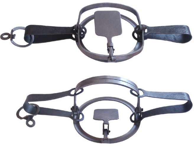 Капкан поможет поймать хорька