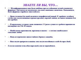 ЗНАЕТЕ ЛИ ВЫ, ЧТО… — Мумифицированные вши были найдены при исследовании мумий ег