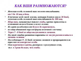 КАК ВШИ РАЗМНОЖАЮТСЯ? Женская особь головной вши может откладывать от 5 до 10 яи