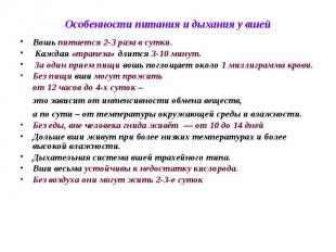 Особенности питания и дыхания у вшей Вошь питается 2-3 раза в сутки. Каждая &laquo;тра