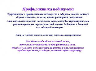 Профилактика педикулёза Эффективны в профилактике педикулеза и эфирные масла: ча