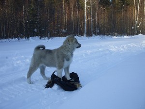 Основные правила