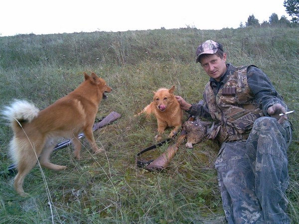 Фотогалерея натаска лайки фото - 3