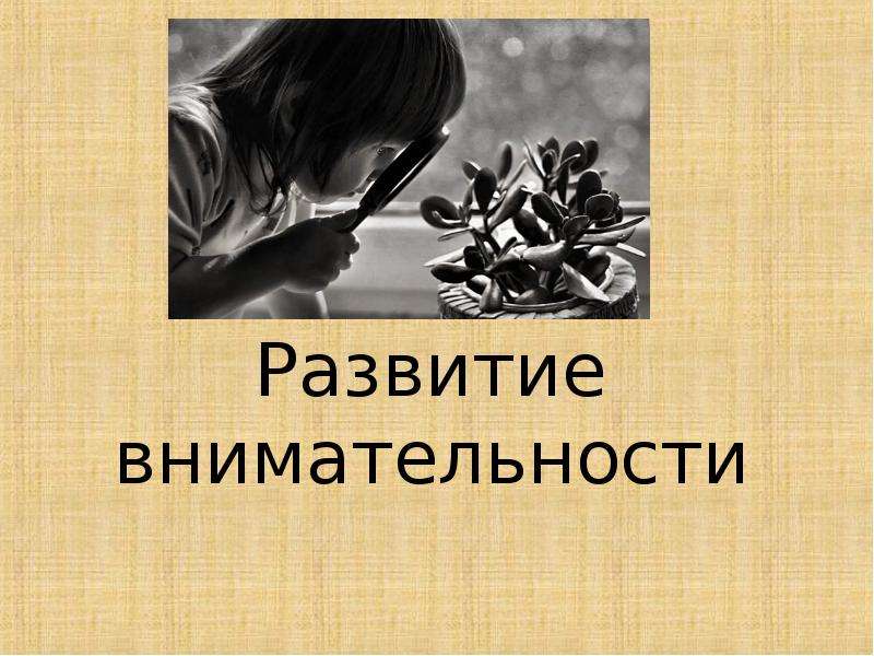 &laquo;Факторы, влияющие на успеваемость учеников&raquo; , слайд №10