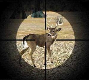 Охота на косулю