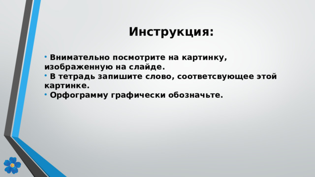 Инструкц и я: Внимательно посмотрите на картинку, изображенную на слайде. В тетрадь запишите слово, соответсвующее этой картинке. Орфограмму графически обозначьте.