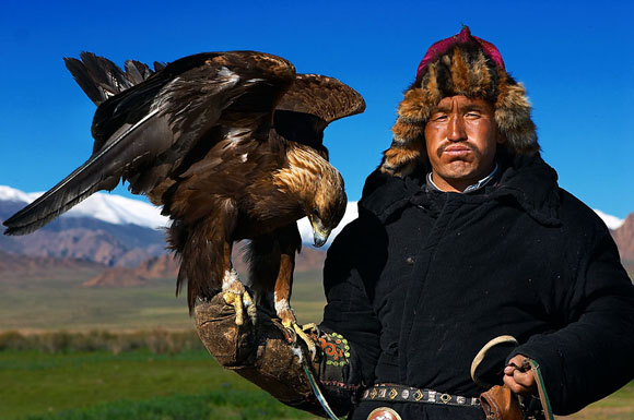 Соколиная охота, охота с ловчей птицей, охота с соколом, соколиная охота в России, традиции соколиной охоты, охота с ловчими птицами, охота с соколом, охота с орлом, охота с ястребом