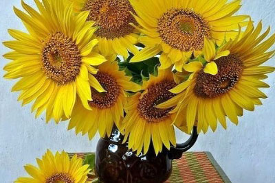 Подсолнухи