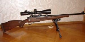 Карабин Лось