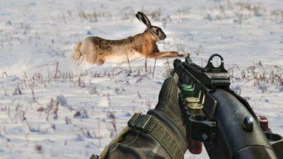Заяц в прицеле ружья
